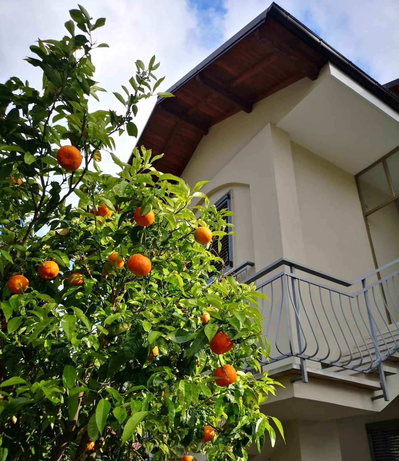 Loano Casa Arche Villa Indipendente Con Giardino Exterior photo
